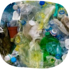 Association Zéro-Déchet & Biodiversité - Pollution Plastique - Education & sensibilisation à l'environnement - Actions éducatives (6) Association Zéro-Déchet & Biodiversité - Pollution Plastique - Education & sensibilisation à l'environnement - Actions éducatives - Protection de l'environnement