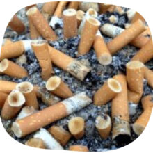 Association Zéro-Mégot GreenMinded - Collecte, Recyclage, Sensibilisation - Pollution Mégots de Cigarettes Association Zéro-Mégot GreenMinded - Collecte, Recyclage, Sensibilisation - Pollution mégots de cigarettes Pollution mégot