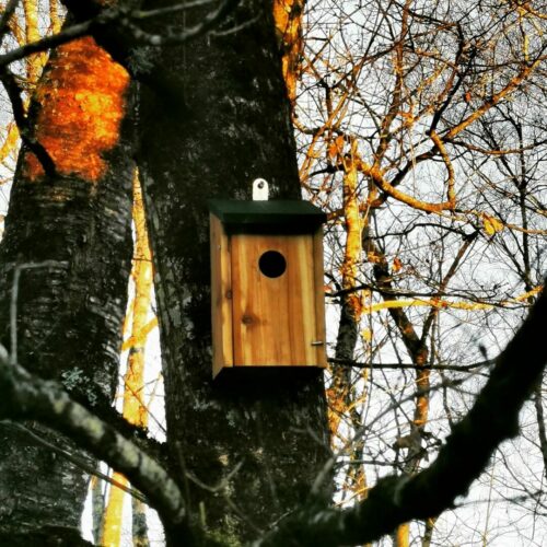 niche oiseaux REFUGEs-DE-BIODIVESRITE - le doux refuge