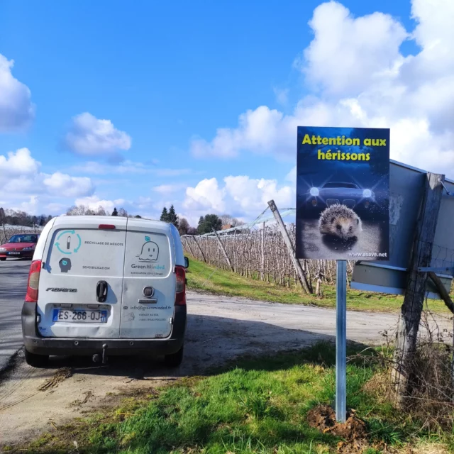 [VICTOIRE POUR LES HERISSONS]🥳 Une petite histoire qui prouve, qu'avec un peu de détermination & de patience, on peut arriver à lancer des initiatives !1️⃣ 2021/2022, on se rend compte que, près de notre refuge de biodiversité, @le_doux_refuge , un grand nombre de hérissons meurent sur la route D901. On arrive à en sauver quelques uns, récupérés blessés avec l'association @asso_erina . On identifie 2 tronçons particuliers : 2 grandes lignes droites à 90km/h avec des champs et des pommiers de part et d'autres. On prend en photos, on documente.2️⃣ Mars 2023 : on envoie un courrier recommandé au @hautevienne_dep  demandant l'installation de panneaux routiers. Notre proposition : GreenMinded les achète et il n'y a plus qu'à les installer! L'association Asave a déjà expérimenté ce dispositif en Alsace et il semble fonctionner 🙂3️⃣ Septembre 2023 : Houra ! Le Département nous répond ! Nous avons l'autorisation d'installer - à titre expérimental - des panneaux pour prévenir la mortalité des hérissons !4️⃣ 2024 : On se met en lien avec la voirie, on repère les emplacements, on achète les panneaux, on les rapatrie jusqu'en Haute Vienne grâce à du covoiturage de colis5️⃣ Mars 2025 : Les 4 panneaux sont enfin installés ! Deux ans après notre courrier, mais ils sont bien en place, prêts à accueillir les hérissons en sortie d'hibernation 🥰Alors oui, ça peut sembler long 2 ans entre un courrier et une installation de panneaux routiers, mais finalement, le résultat est là, grâce à l'implication d'une poignée de personnes.Alors ne lâchez rien, envoyez des courriers, essayez de frapper aux portes et puis comme on dit : "Le non, tu l'as déjà !"#HérissonsEnSécurité #SauvonsNosHérissons #VieSauvage #ProtectionDesHérissons #AmisDesAnimaux #NatureEnDanger #SauvonsLaFaune #Hérissons #WildlifeRescue  #RespectonsLaNature #printemps #lpo #jardinsvivants #jardinssauvages
#effondrementduvivant #effondrement #biodiversite #sosfaunesauvage #permaculture #lpofrance #faunesauvage #jardineraunaturel #paillage #biodiversite #nature #jardinage #environnement #ecologie #madeinfrance #ecoresponsable