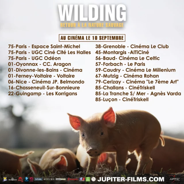 🌿✨ Sortie du film WILDING ✨🌿Et si on laissait la nature reprendre ses droits ? 🦋🌳
WILDING, le documentaire événement, nous plonge dans une incroyable aventure de réensauvagement, où l’espoir renaît à chaque image🎬 Un film inspirant, qui montre qu’un autre avenir est possible : plus sauvage, plus libre, plus respectueux du vivant.Chez GreenMinded, on est fiers de soutenir ce film porteur d’espoir 💚
Parce que protéger la biodiversité, c’est aussi s’émerveiller devant sa force de résilience.📅 En salle dès maintenant !
👉 Courez le voir et laissez-vous emporter par la magie du vivant.
@kneppwilding#WildingLeFilm #Reensauvagement #GreenMinded #Biodiversité #FilmDocumentaire #Nature